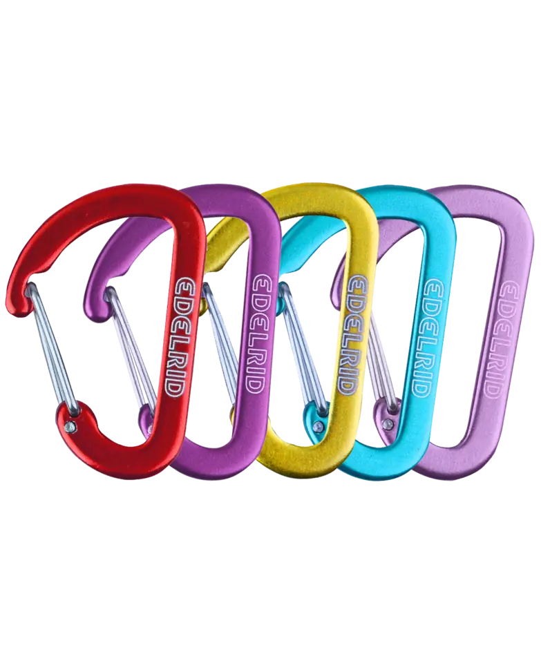 Micro-D Carabiner, Personalized Wire Gate Carabiner Clip