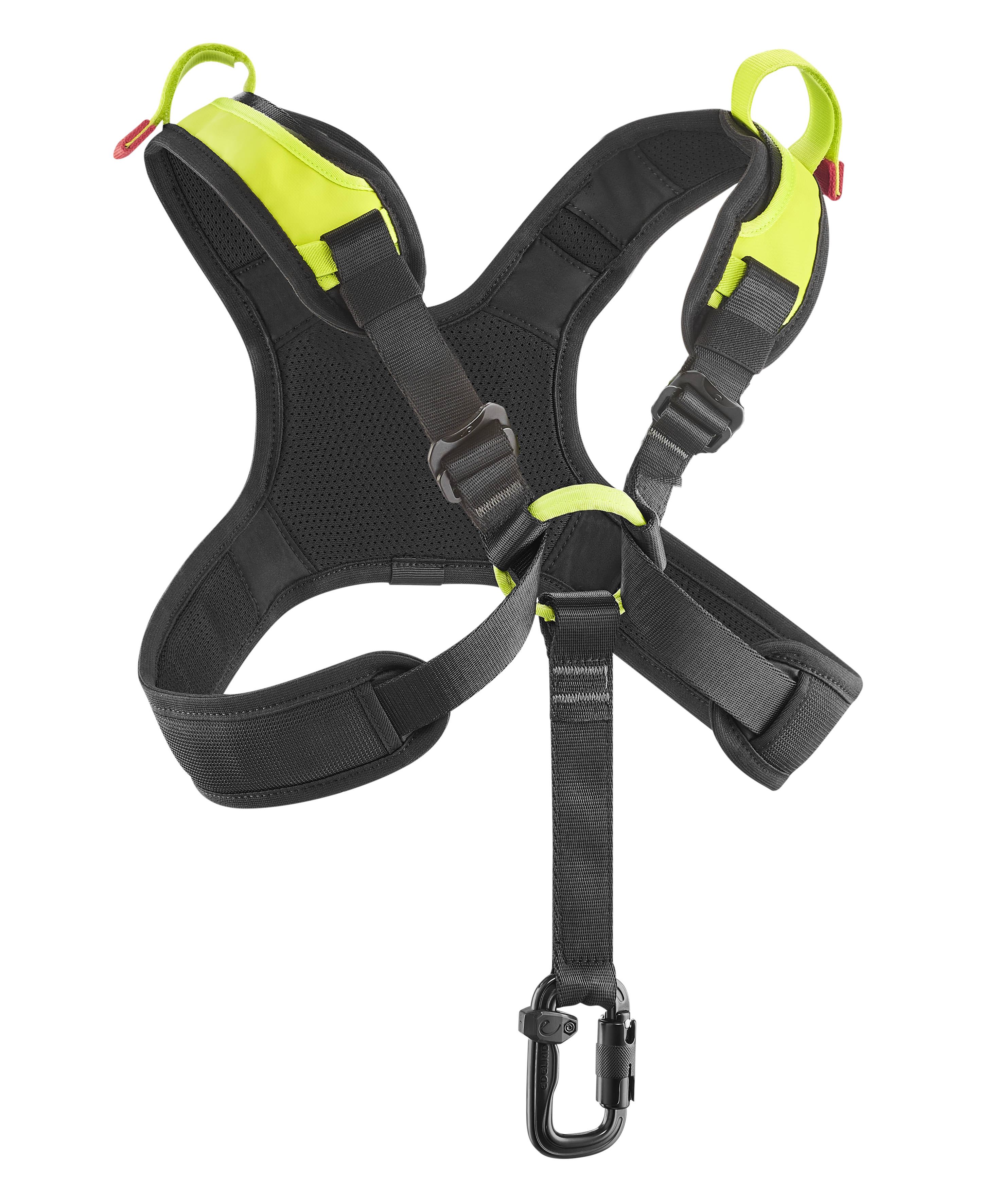 TreeRex Triple Lock | Sit Harnesses | Edelrid | EDELRID