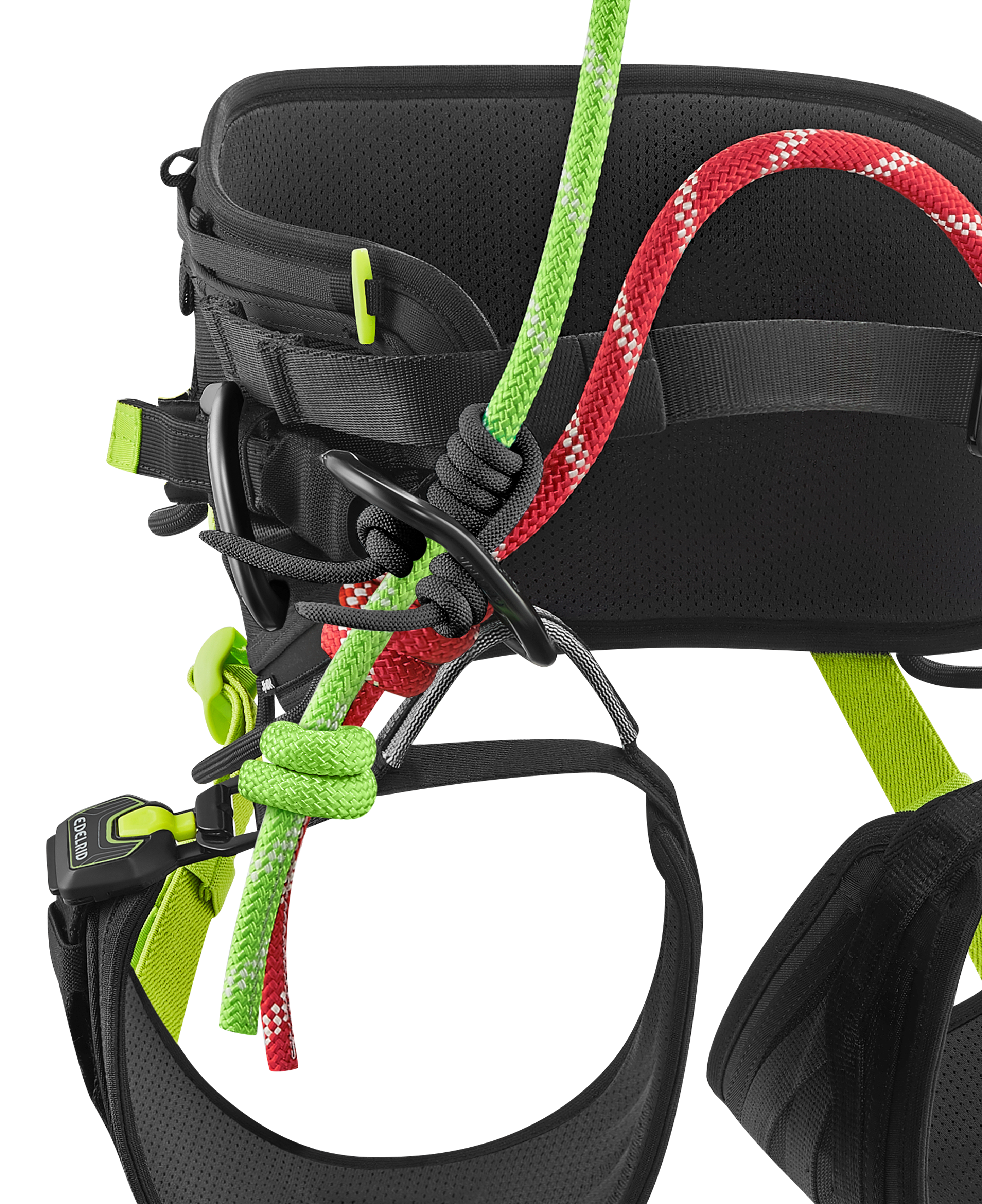 国内初の直営店 ハーネス ツリーレックス (Edelrid)(サイズ１） - www