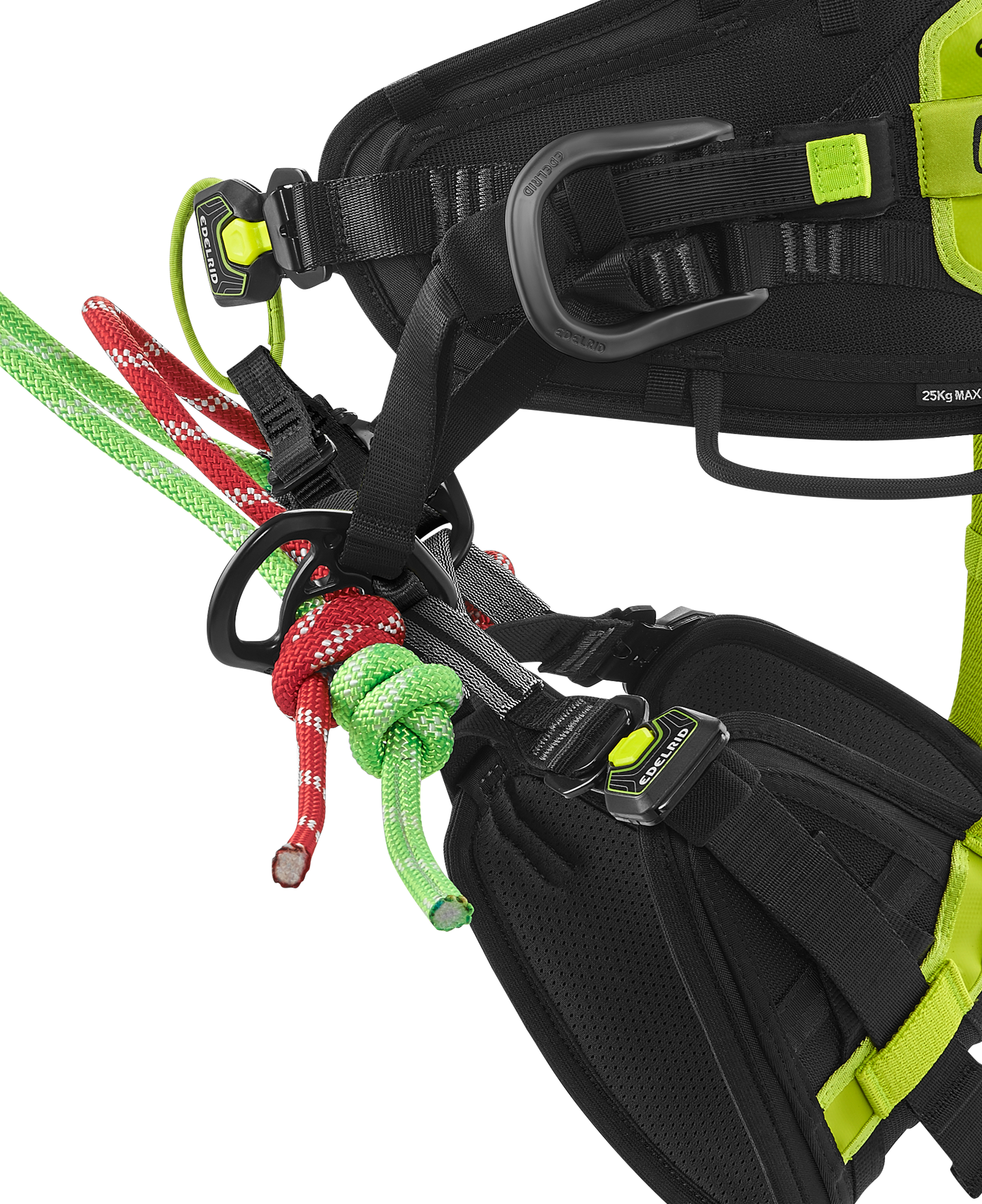 保障できる ぺーぱ EDELRID TreeRexサイズ1 ISC他 登山用品 