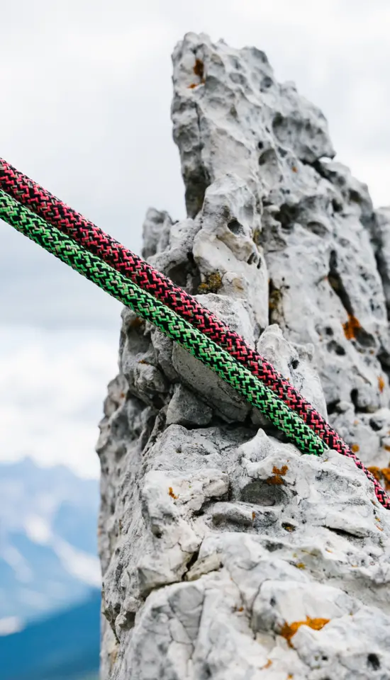 Edelrid Swift Eco Dry 8,9 mm Corde Arrampicata : Snowleader