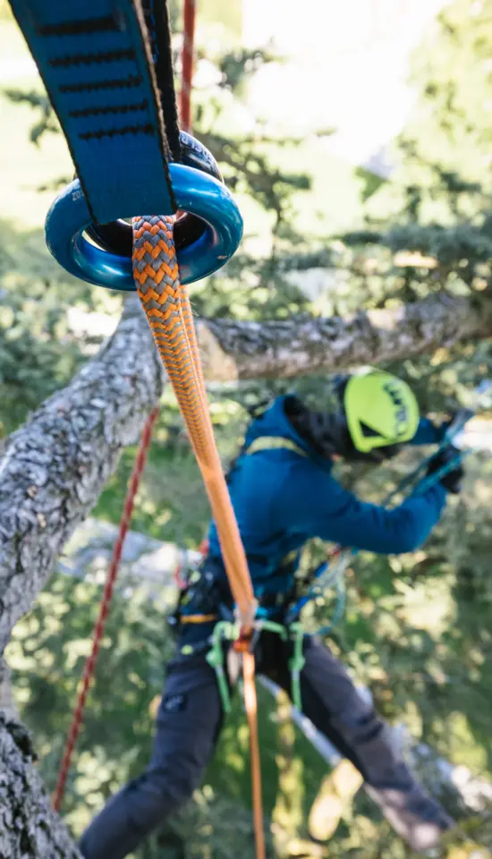 WOODPECKER 11.7mm, arborist rope